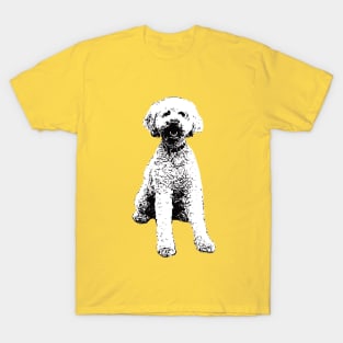 Labradoodle T-Shirt